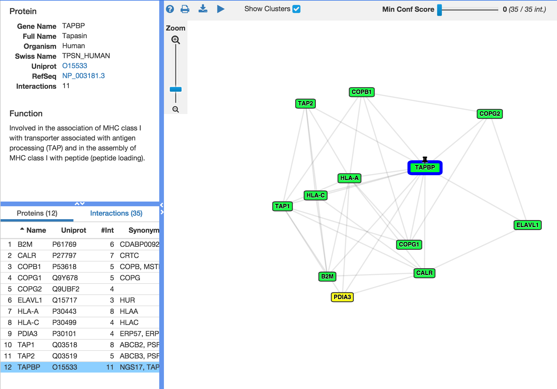 protein interaction network data visualization